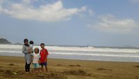 Wow! Ratusan Pohon Kelapa Berbaris di Sepanjang Pesisir Pantai Munjungan