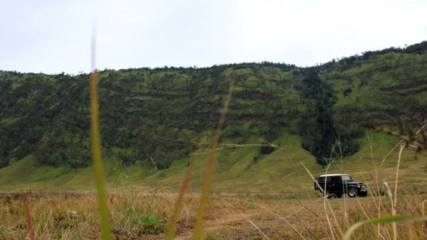 Wuih! Ada Bukit Teletubbies di Gunung Bromo