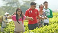 Wuih! Segarnya Suasana Kebun Teh Gunung Dempo