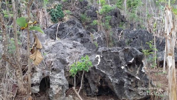 Yang Baru dari Gunungkidul: Pantai Greweng