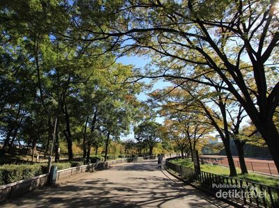 Yang Menawan Dekat Istana Osaka, Plum Garden