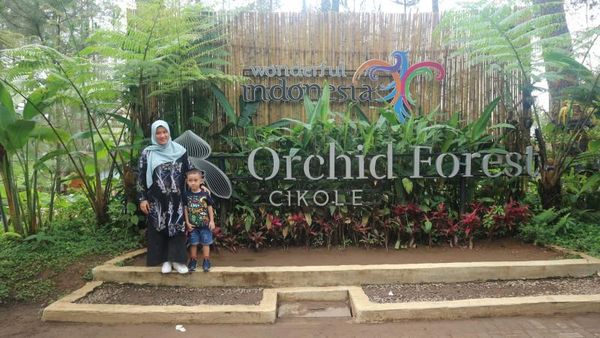 Yang Segar di Bandung, Ada Orchid Forest Cikole
