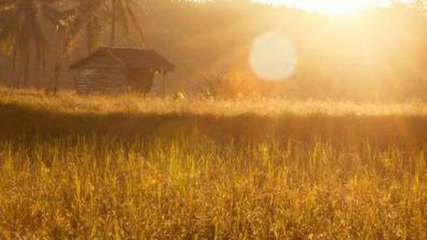 Yuk, Intip Cantiknya Pantai Sawarna dari Banten Selatan