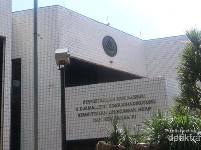 Yuk, Intip Museum Bertema Hutan