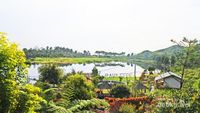 Yuk, Intip Taman Baca di Wisata Alam Rawa Gede