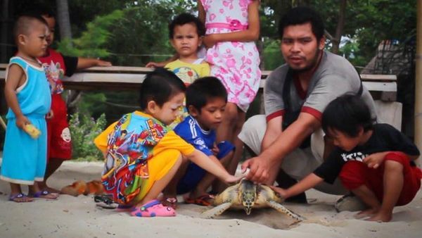 Yuk! Peduli Alam dengan Ikut Pelepasan Penyu Sisik