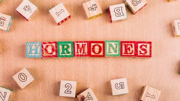 Foto:Hormon Tidak Seimbang/Freepik.com Penyebab Siklus Haid Tidak Teratur