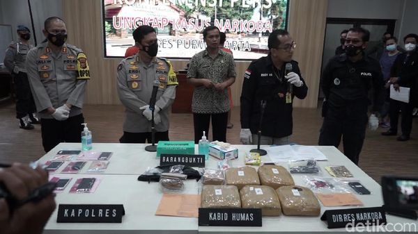 Ganja-Sabu hingga Senpi Jadi Barbuk Mantan Suami Dina Lorenza