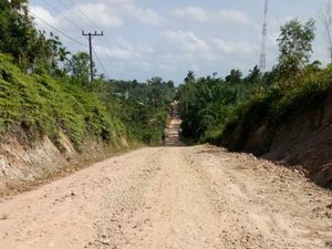 Transmigran di Aceh Utara Ingin Jalan Aspal: Kami Jangan Dianaktirikan Transmigran di Aceh Utara Ingin Jalan Aspal: Kami Jangan Dianaktirikan