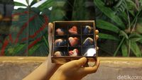 Toko Cokelat ini Bikin Kado Khusus Valentine Lho