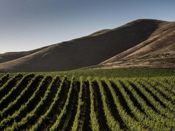 Gegara Pandemi, Kota Kecil di California Ini Bayar Turis untuk Berkunjung