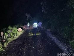Akses Dua Kecamatan di Blitar Selatan Tertutup Longsor