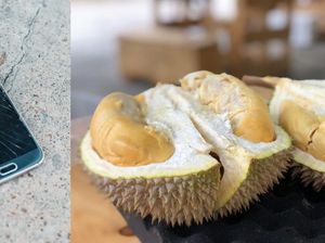 Pembeli Durian Marah Sampai Balikkan Meja, Didenda Rp 31 Juta!