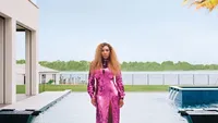 10 Potret Rumah Mewah Serena Williams, Ada Lukisan dari Batu Bulan Asli