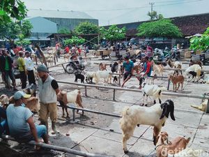 Pedagang Ternak-Warung Makan di Klaten Keluhkan Jateng di Rumah Saja