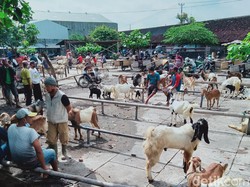 Pedagang Ternak-Warung Makan di Klaten Keluhkan Jateng di Rumah Saja