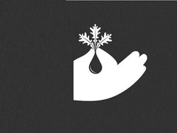 Tes Kepribadian: Gambar Tanaman atau Jari yang Pertama Kali Kamu Lihat?