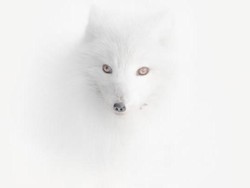 Menakjubkan, Ini Karya Fotografi Traveling Terbaik 2020