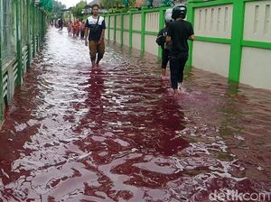 Kebijakan Jalur Viral dan Banjir Merah Pekalongan Kebijakan Jalur Viral dan Banjir Merah Pekalongan