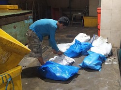 Polisi Tangkap Pencuri 297 Kg Ikan Cakalang di Muara Baru Jakut