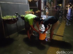 Berburu Ikan Saat Banjir di Kota Lama Semarang, Dapat Lele hingga Koi