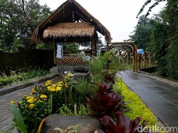 Kampung Tematik Mulyaharja, Wisata Pertanian di Kaki Gunung Salak