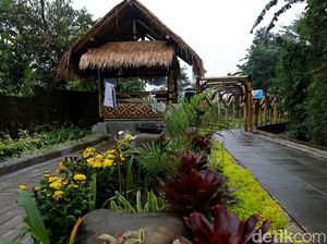 Kampung Tematik Mulyaharja, Wisata Pertanian di Kaki Gunung Salak Kampung Tematik Mulyaharja, Wisata Pertanian di Kaki Gunung Salak