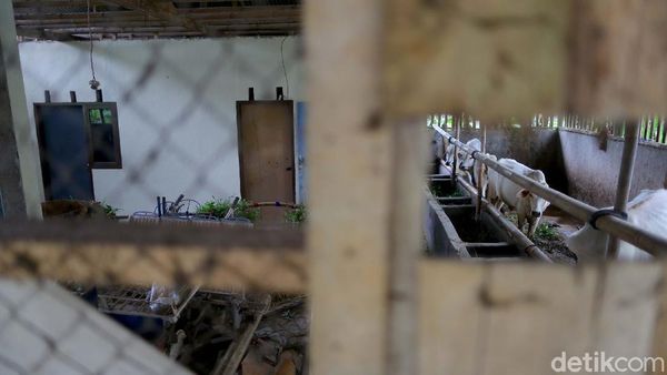 Komplet! Bermain Sambil Belajar di Kampung Tematik Mulyaharja, Bogor