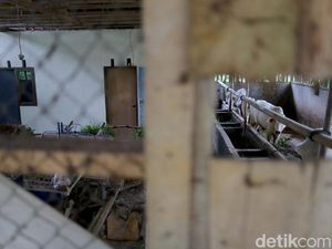 Komplet! Bermain Sambil Belajar di Kampung Tematik Mulyaharja, Bogor Komplet! Bermain Sambil Belajar di Kampung Tematik Mulyaharja, Bogor