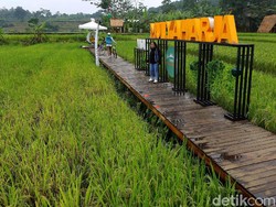 Ini Wisata Alam Baru di Bogor, Kampung Tematik Mulyaharja
