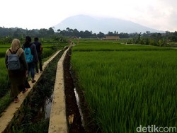 Mudik Dilarang, Lepas Rindu Kampung Bisa di Desa Wisata Bogor