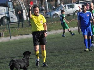 Dasar Anjing... Dikartu Merah Wasit deh, Ganggu Mulu sih