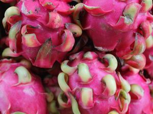 Harga Anjlok! 5 Petani Ini Buang Sayuran hingga Buah Naga ke Sungai