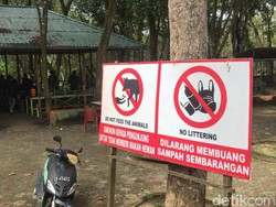 Satu Orang Tewas, Begini Kronologi 2 Harimau Sinka Zoo Lepas dari Kandang