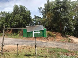 Polisi Jelaskan soal Tembak Mati Harimau Eka yang Lepas di Sinka Zoo