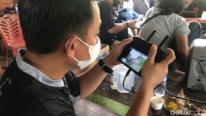 Potret Petugas Buru Harimau Lepas Sinka Zoo, Drone Dikerahkan