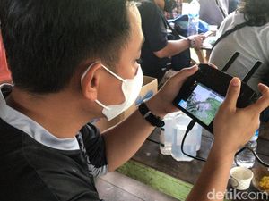 Potret Petugas Buru Harimau Lepas Sinka Zoo, Drone Dikerahkan