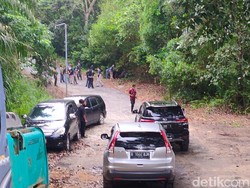 Ditembak Bius, Harimau Sinka Zoo Kedua yang Lepas Diamankan Petugas!