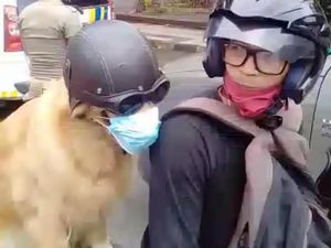 Lucu, Anjing di Tasikmalaya Taat Prokes di Masa Pandemi