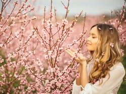 Mengapa Bunga Mengeluarkan Bau Harum? Ini Penjelasan Ilmiahnya