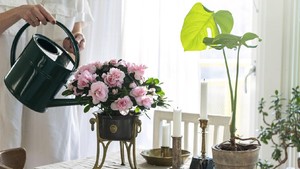 Ganti Air Saja Nggak Cukup, Begini Tips Rawat Bunga dalam Vas biar Awet