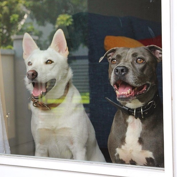 June dan Kopi/www.instagram.com/junedankopi June dan Kopi