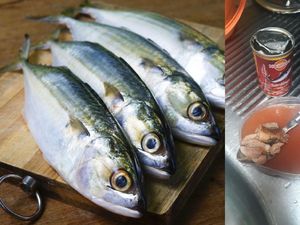 Nagita Slavina Bingung Ternyata Ada 3 Jenis Sarden Bansos