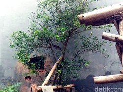Tembok Minimarket di Sukabumi Dijebol Maling, Duit Rp 36 Juta Raib