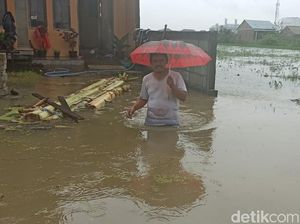 Banjir di Demak Capai 1,5 Meter, 10 Ribu Jiwa Terdampak