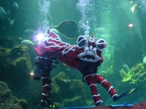 Imlek di Ancol, Ini Aturannya, Melanggar Prokes Dihukum Bersih-bersih