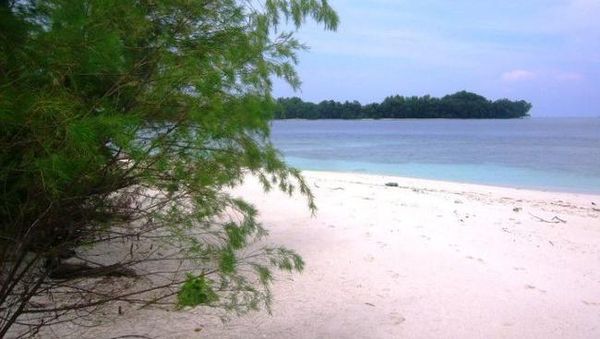 1000 Island, Pulau Kayu Angin