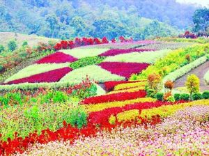 5 Rekomendasi Tempat Wisata di Jambi yang Kaya Pesona