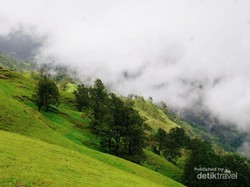 5 Wisata TTS yang Cantiknya Bukan Main