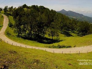 6 Destinasi Wisata Kebanggaan Timor Tengah Selatan
